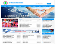 寧夏企業(yè)發(fā)展促進(jìn)會(huì)